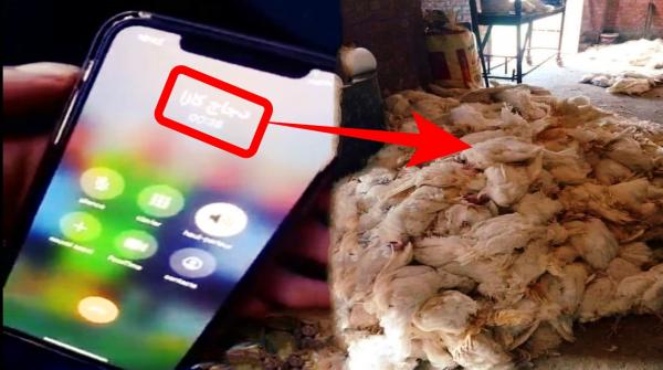 بيع دجاج "ميت" بـ7 دراهم.. فيديو يثير رعب المغاربة بعد أن تم اجتزاء مقطع مهم من حقيقته